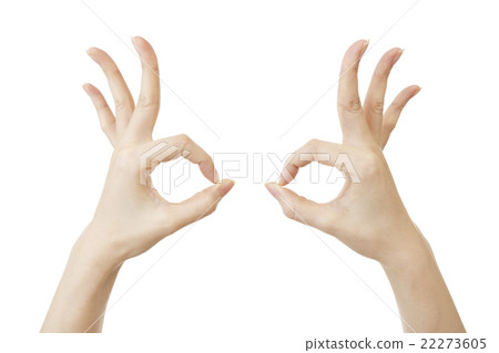 女手 女手 22273605