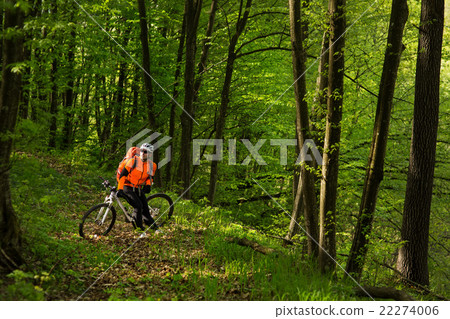 Cyclist Riding the Bike on a Trail in Summer 22274006