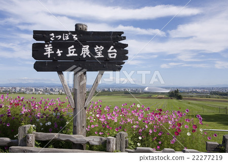 Yanagaoka天文台 22277219