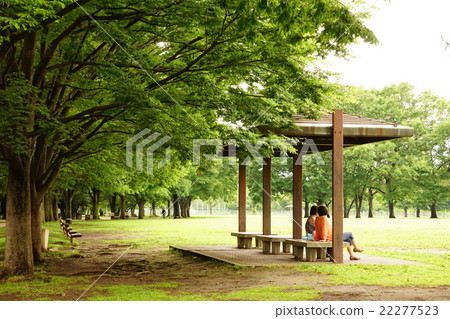 新鮮的綠色公園 22277523