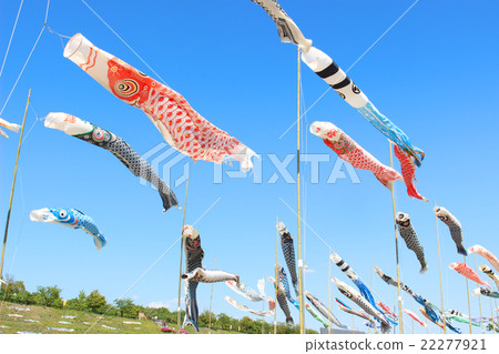    Carp streamer 22277921