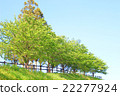 風景 22277924