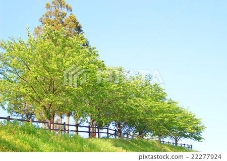 風景 風景 22277924