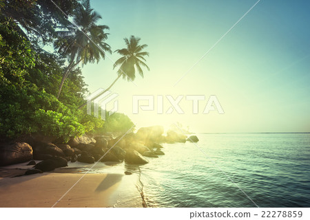 sunset on the beach, Mahe island, Seychelles sunset on the beach, Mahe island, Seychelles 22278859