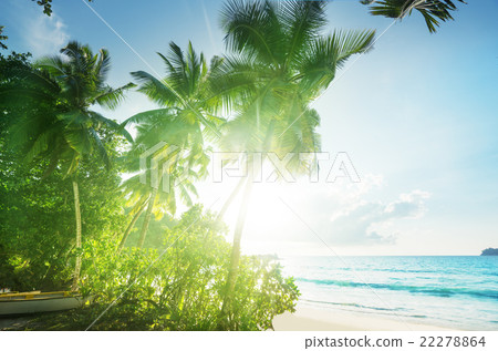sunset on the beach, Mahe island, Seychelles sunset on the beach, Mahe island, Seychelles 22278864
