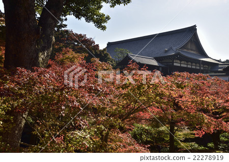 Tofukuji Tofukuji 22278919