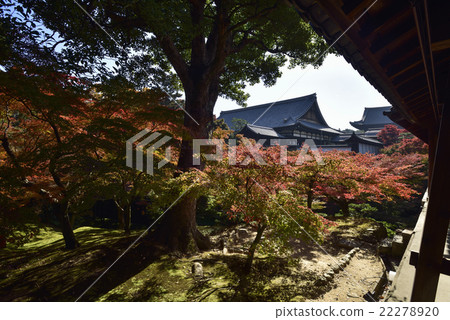 Tofukuji 22278920