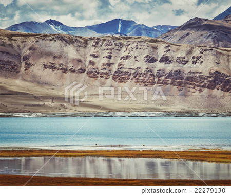 Salt lake Tso Kar in Himalayas. Ladakh, India 22279130