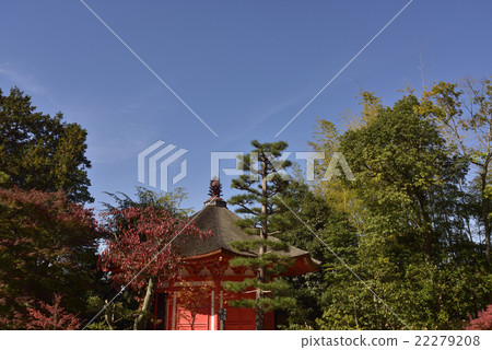 Tofukuji Aibido 22279208