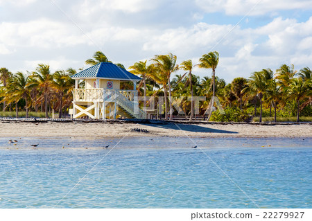 Beautiful Crandon Park Beach located in Key Beautiful Crandon Park Beach located in Key 22279927