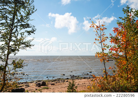 Landscape with trees on Baltic sea coast 22280596