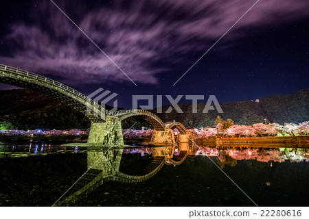 Kintai Bridge and Sakura 1 22280616