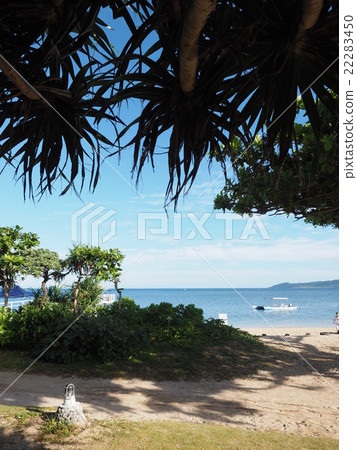 在沖繩的Ishigakijima的Fusaki海灘從Adan的樹蔭看見 22283450
