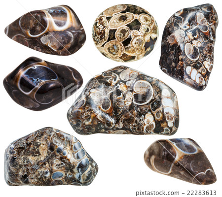 set of various turritella agate mineral stones 22283613