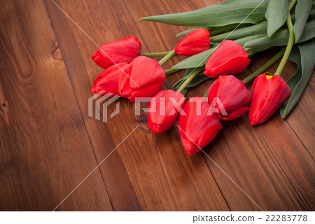 Red tulips on a wooden background. Red tulips on a wooden background. 22283778
