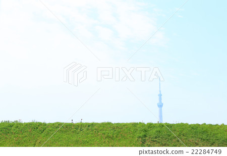Spring green and blue sky Sky tree that looks far away 22284749