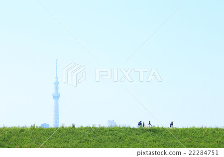 看起來很遠的春天綠色和藍天天空樹 看起來很遠的春天綠色和藍天天空樹 22284751