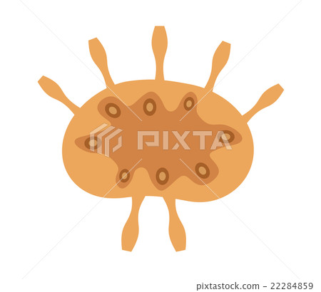 Section of lymph node 22284859