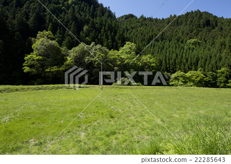 Idle fields 22285643