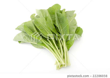 Nikana (Nanaa) Nikana (Nanaa) 22286038