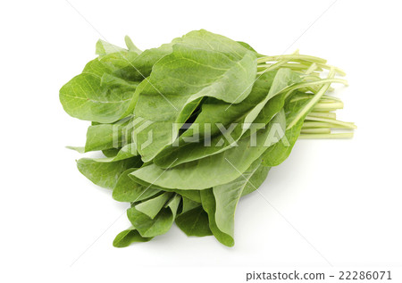 Nikana (Nanaa) 22286071