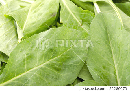 Upgrading of Nyana (Nana) 22286073