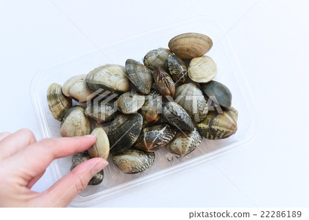 Fingers and clams 22286189