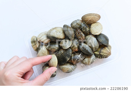 Fingers and clams 22286190