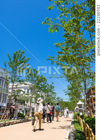 Kamakura Wakamiya Otoji Jogaku Kamakura Wakamiya Otoji Jogaku 22286503