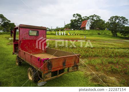 大溪花海農場 22287154