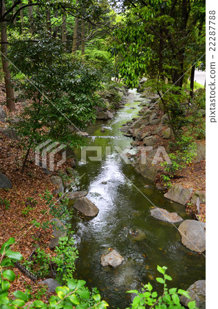 Senoragi of Ogawa 22287788