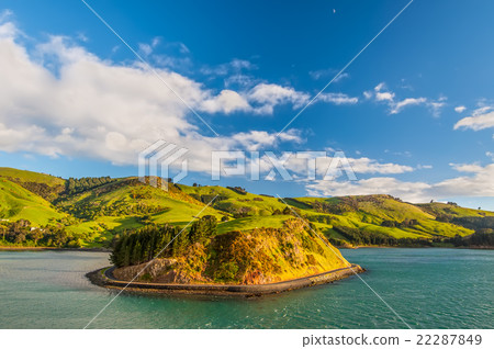 New Zealand Otago Region coastal landscape New Zealand Otago Region coastal landscape 22287849
