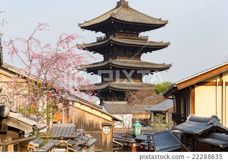 Tower of Yasaka and bird's cherry blossoms Tower of Yasaka and bird's cherry blossoms 22288635