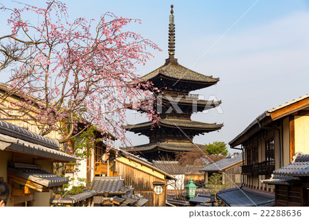 Tower of Yasaka and bird's cherry blossoms Tower of Yasaka and bird's cherry blossoms 22288636