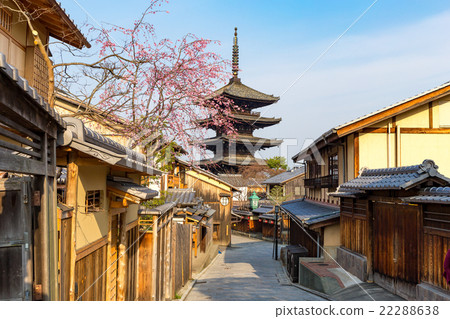 Tower of Yasaka and bird's cherry blossoms Tower of Yasaka and bird's cherry blossoms 22288638