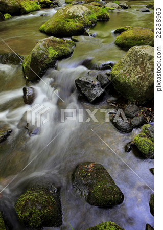 Spring stream Spring stream 22288963