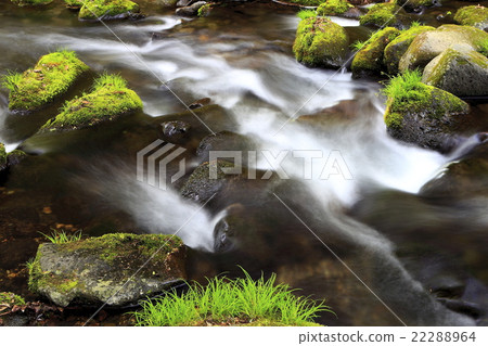 Spring stream Spring stream 22288964