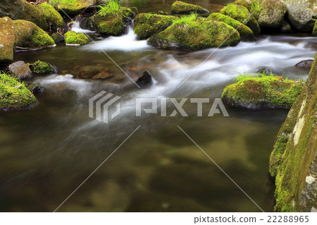 Spring stream Spring stream 22288965