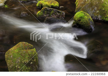 Spring stream 22288968