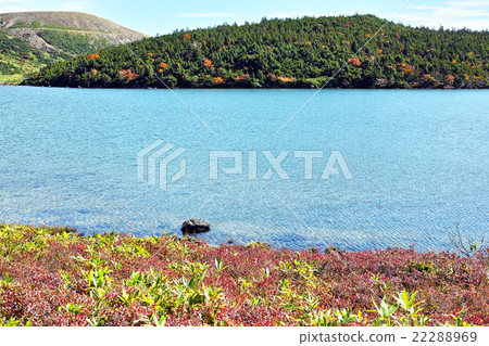 Autumn Kamonuma Autumn Kamonuma 22288969