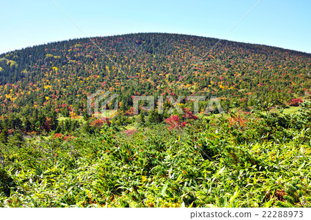Autumn's Higorokoyama mountain 22288973