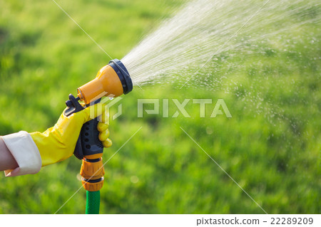 Hand with garden hose watering plants Hand with garden hose watering plants 22289209
