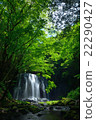新鮮的綠色和瀑布 22290427
