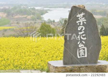 強姦開花 22292483