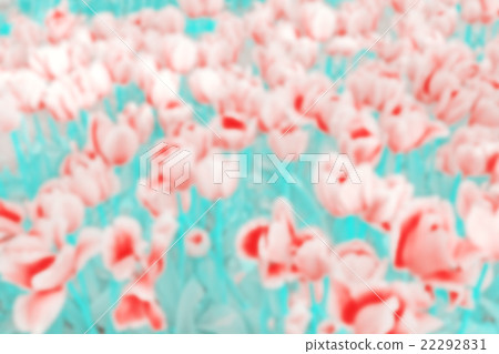 Vintage toned blurred tulips background 22292831