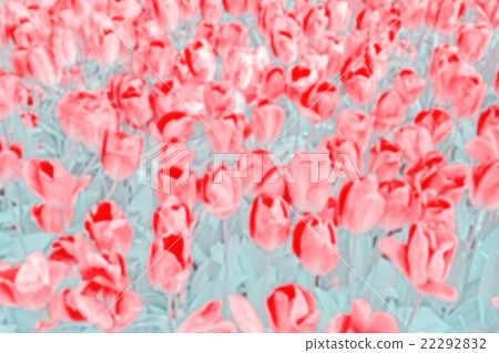 Vintage toned blurred tulips background Vintage toned blurred tulips background 22292832