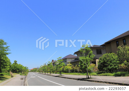 Fresh green residential area Fresh green residential area 22293037