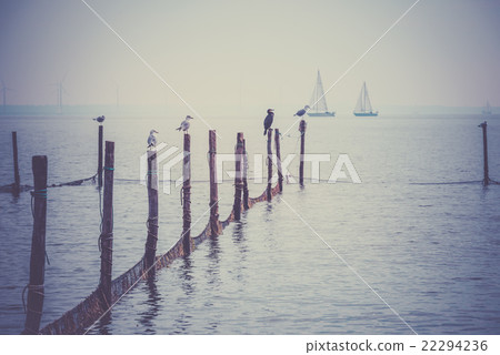 Northern Sea landscape 22294236