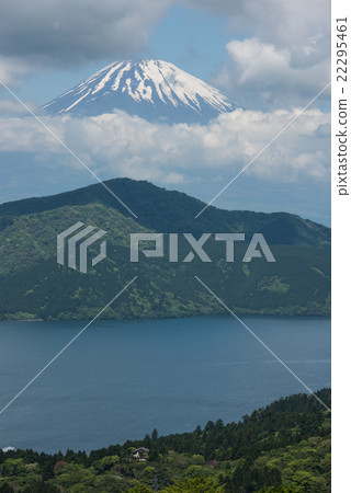 Late Ashinoko in early summer 22295461