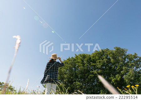 A woman walking in the meadow A woman walking in the meadow 22295514